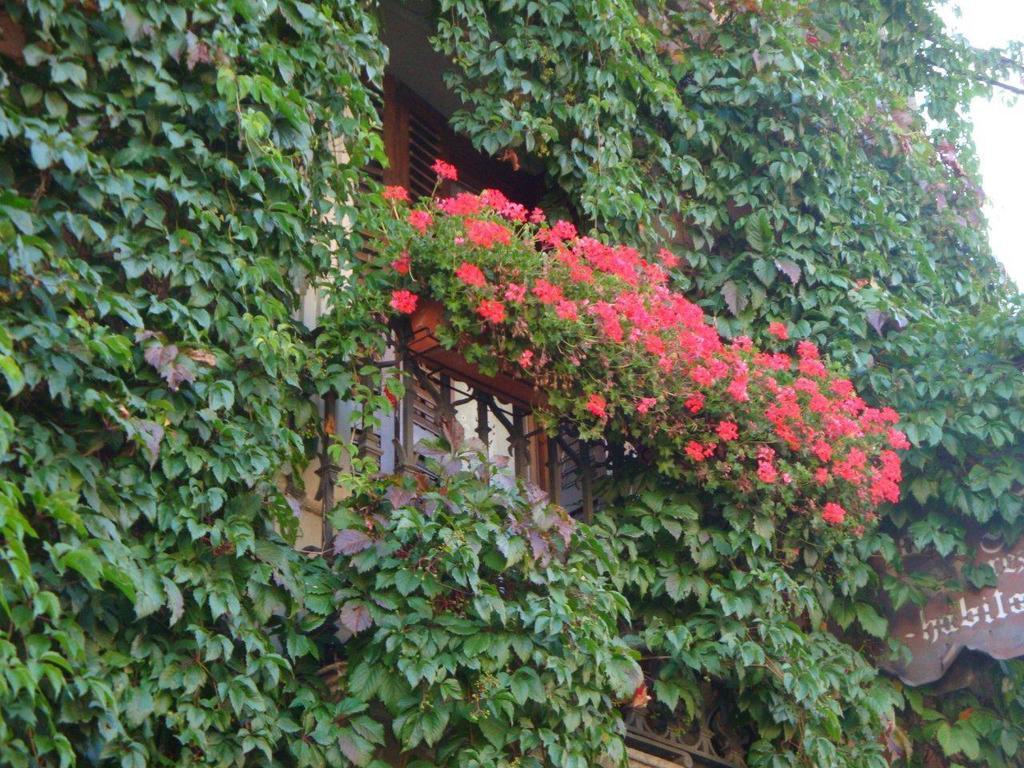 Hotel Casa Frauca Sarvisé Zewnętrze zdjęcie
